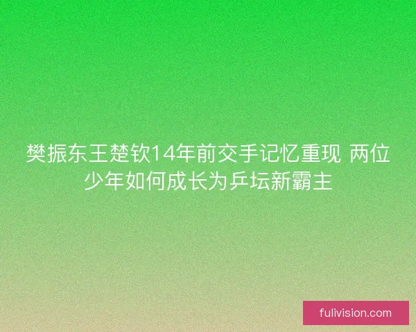 樊振东王楚钦14年前交手记忆重现 两位少年如何成长为乒坛新霸主